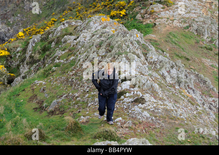 Une femelle Walker sur les DDIN Fawr, un promontoire de roche menant au chemin de la côte du Pembrokeshire, près de Solva, Pays de Galles, Royaume-Uni Banque D'Images