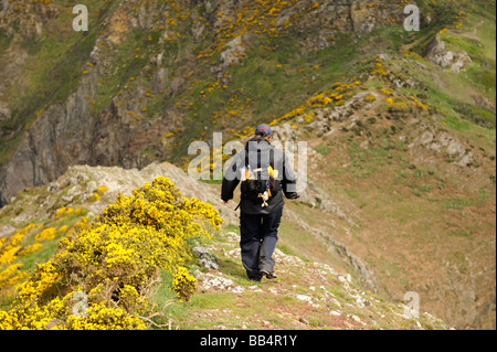 Une femelle Walker sur les DDIN Fawr, un promontoire de roche menant au chemin de la côte du Pembrokeshire, près de Solva, Pays de Galles, Royaume-Uni Banque D'Images