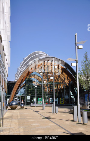 Jardin d'hiver de Sheffield, Tudor Square, Sheffield, South Yorkshire, Angleterre, Royaume-Uni Banque D'Images