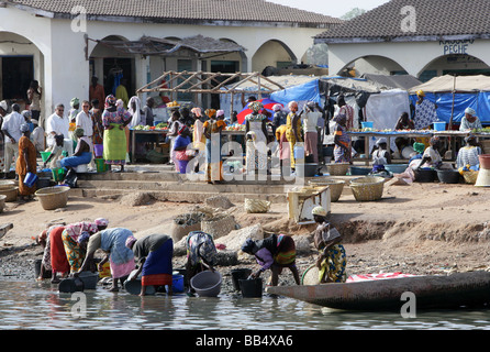 Sénégal : marché de poisson dans le port de Ziguinchor Banque D'Images