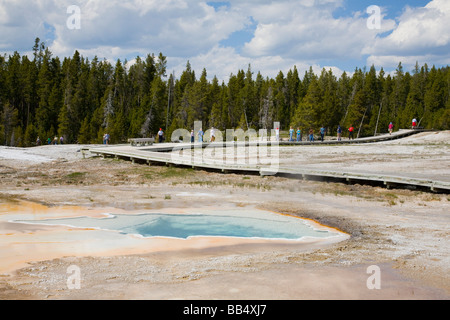 Le Parc National de Yellowstone, WY, Upper Geyser Basin, Geyser Lion zone de groupe Banque D'Images