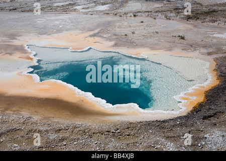 Le Parc National de Yellowstone, WY, Upper Geyser Basin, Geyser Lion zone de groupe Banque D'Images