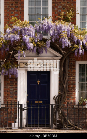 Angleterre Berkshire Beaconsfield Road Sutton Chalet Glycine Glycine hung face de John Lewis Partnership building Banque D'Images