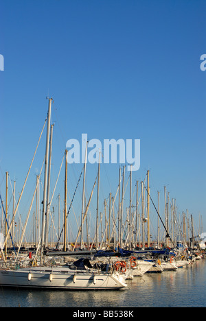 Yachts abritaient à Port Olimpic de Barcelone Catalogne Espagne Banque D'Images