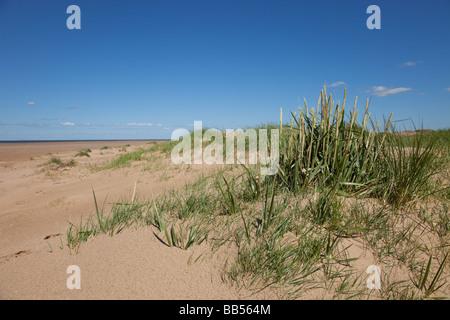 Birkdale Green Beach Banque D'Images