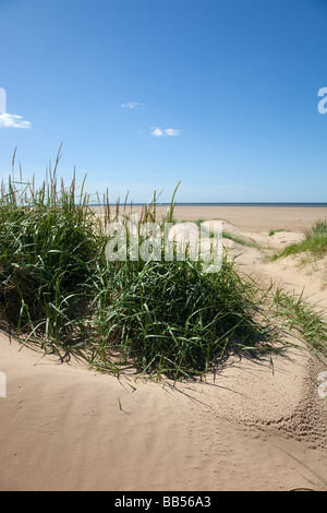 Birkdale Green Beach Banque D'Images