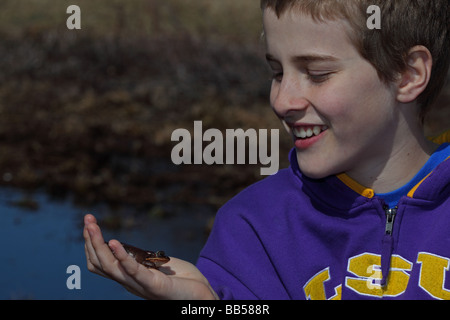 Boy - âge 12 - Observation de la grenouille des bois (Rana sylvatica) New York Banque D'Images