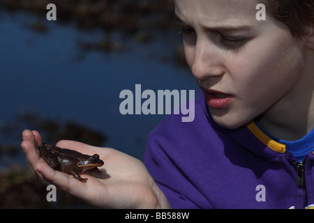 Boy - âge 12 - Observation de la grenouille des bois (Rana sylvatica) New York Banque D'Images