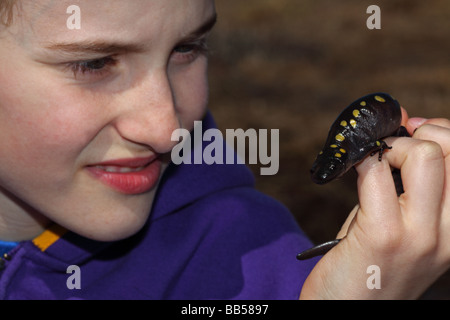 Garçon de 12 ans d'observer (la salamandre Ambystoma maculatum) New York USA - au début de la migration du printemps à l'étang des bois Banque D'Images