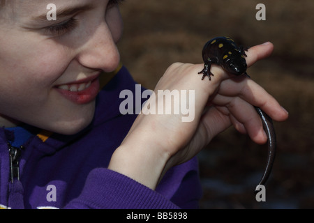 Garçon de 12 ans d'observer (la salamandre Ambystoma maculatum) New York USA - au début de la migration du printemps à l'étang des bois Banque D'Images