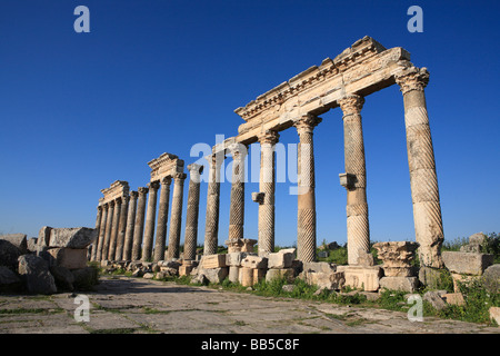 Les ruines d'Apamée, Syrie Banque D'Images