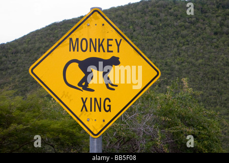 Losange jaune attention aux singes sur le panneau d'avertissement de l'automobiliste route Nevis île des Caraïbes Banque D'Images