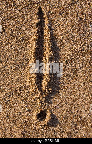 Libre d'un signe d'exclamation dans le sable sur une plage Banque D'Images