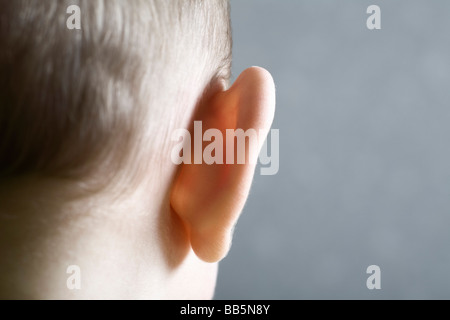 Vue rapprochée de l'oreille de bébé Banque D'Images