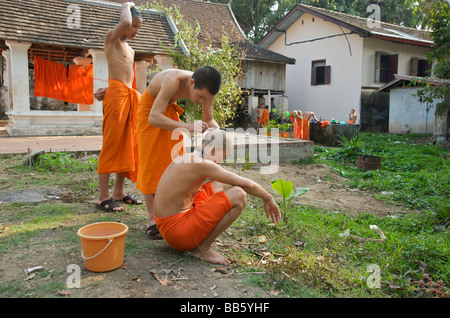Les moines novices de chaque d'autres chefs dans les jardins du temple Luang Prabang au Laos Banque D'Images