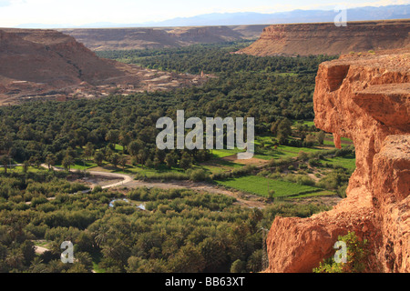 Voir d'oasis irriguée/Ceinture de verdure le long de la rivière Ziz Ziz dans la gorge, le Maroc, l'Afrique du Nord Banque D'Images