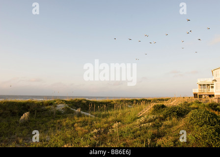 Dunes et l'océan Banque D'Images