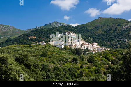 Le Nebbio village perché de Oletta Corse France Banque D'Images