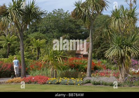 Logan botanic gardens Rhins of Galloway Ecosse Frontières Juillet 2007 Banque D'Images