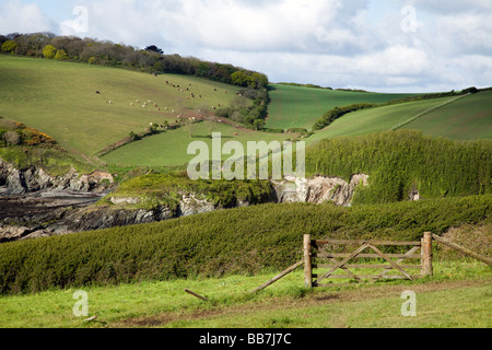 Une vue de l''du pays' Maurier dans la région de Roseland Cornwall. La région influencé un certain nombre de romans de l'auteur. Banque D'Images