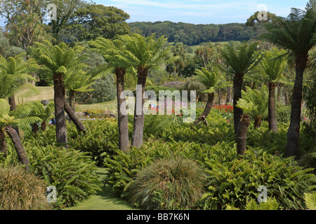 Logan botanic gardens Rhins of Galloway Ecosse Frontières Juillet 2007 Banque D'Images