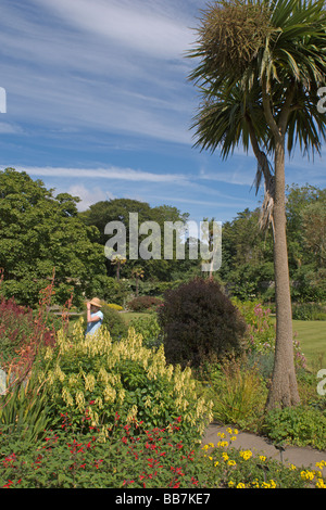 Logan botanic gardens Rhins of Galloway Ecosse Frontières Juillet 2007 Banque D'Images