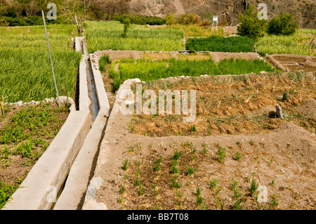 Paysage avec de l'eau Système d'irrigation falaj à Jabal el Akhdar Sultanat d'Oman Banque D'Images