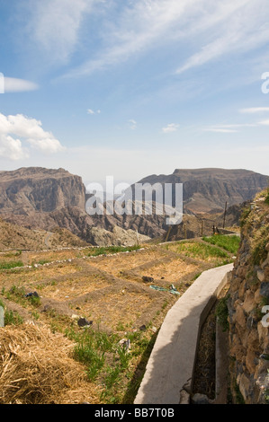 Paysage avec de l'eau Système d'irrigation falaj à Jabal el Akhdar Sultanat d'Oman Banque D'Images