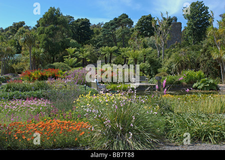 Logan botanic gardens Rhins of Galloway Ecosse Frontières Novembre 2008 Banque D'Images