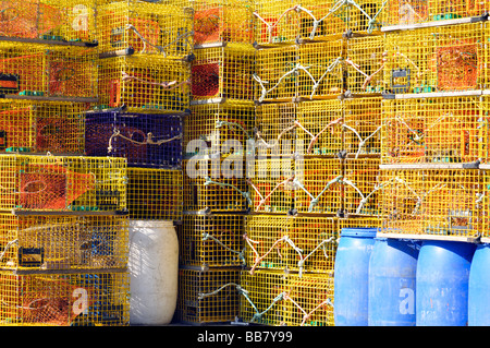 De nouvelles grandes piles de casiers à homard jaune avec un piège bleu prêt pour la pêche dans le port de Newport Rhode Island Banque D'Images