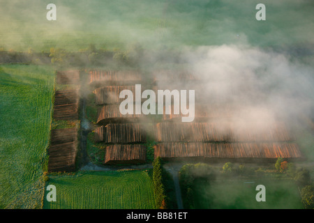 Photo aérienne, matin, brouillard, paysage vallonné, Meschede Buchholz, Meschede, Coesfeld, Sauerland, Rhénanie du Nord-Westphalie, Banque D'Images