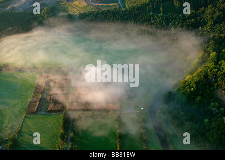 Photo aérienne, matin, brouillard, paysage vallonné, Meschede Buchholz, Meschede, Coesfeld, Sauerland, Rhénanie du Nord-Westphalie, Banque D'Images