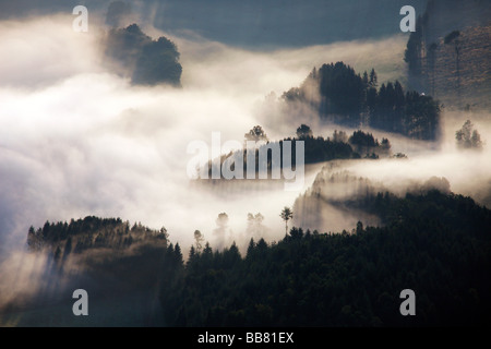 Photo aérienne, matin, brouillard, paysage vallonné, Meschede Buchholz, Meschede, Coesfeld, Sauerland, Rhénanie du Nord-Westphalie, Banque D'Images