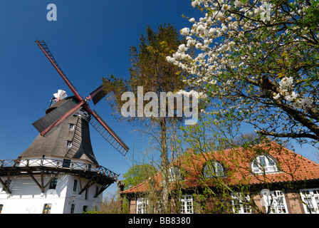 Johanna historique moulin à Wilhelmsburg, Hambourg, Allemagne, Europe Banque D'Images