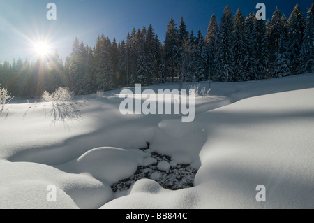Compensation couverte de neige avec soleil et ciel bleu, dans la matinée, Forêt Noire, Bade-Wurtemberg, Allemagne, Europe Banque D'Images