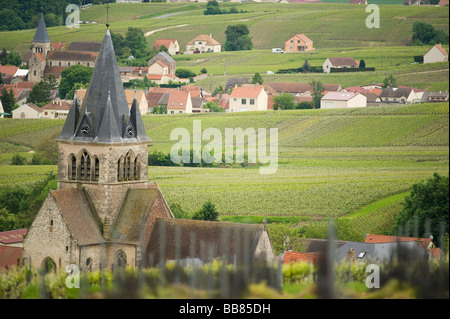 Vignobles et église du village à Villedommage Montagne de Reims France avec Sacy dans la distance Banque D'Images