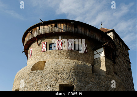 Château de Vaduz, Principauté du Liechtenstein, Luxembourg, Europe Banque D'Images