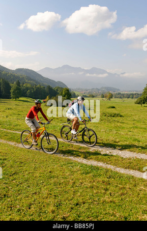 Les motards dans le marais de la rivière Loisach près de Pessenbach en face de l'Italia et Heimgarten montagnes, Haute-Bavière, G Banque D'Images