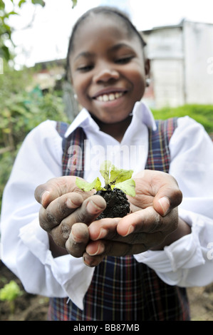 Petite usine de laitue, plantule, dans les mains d'une jeune fille de 11 ans, qui est en cours de formation en horticulture comme partie d'un milieu urbain ag Banque D'Images