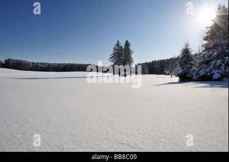 Paysage d'hiver, Haute-Bavière, Bavière, Allemagne Banque D'Images