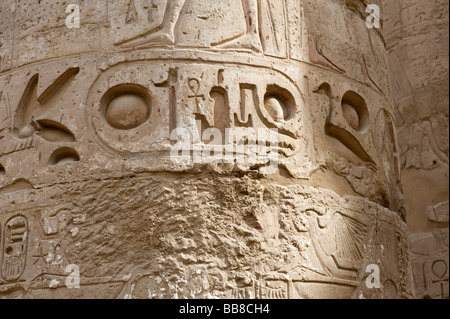 Hiéroglyphes et un cartouche sur une colonne, Temple de Karnak, Louxor, Egypte, Afrique du Sud Banque D'Images