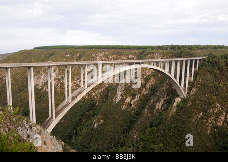 Taitsikamma Piettenberg Rivière Bloukrans Bridge Bay Garden Route Western Cape Afrique du Sud Banque D'Images