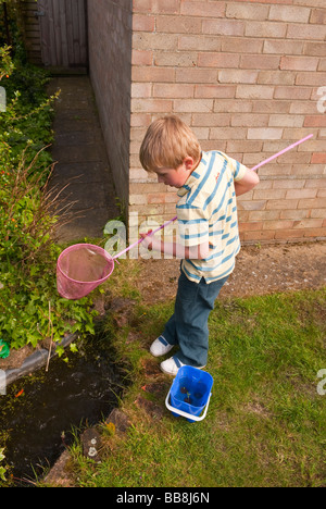 Un garçonnet de cinq ans la pêche dans son étang de jardin avec une surface nette au Royaume-Uni Banque D'Images