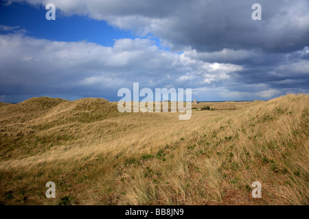 Le Snook réserve naturelle à Holy Island sands North Lindisfarne Côte Northumberland England UK Banque D'Images