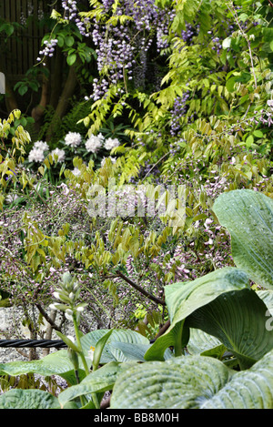 Les échos du Japon dans un jardin anglais Jardin affichage Chelsea 2009 Kay designer Yamada Banque D'Images