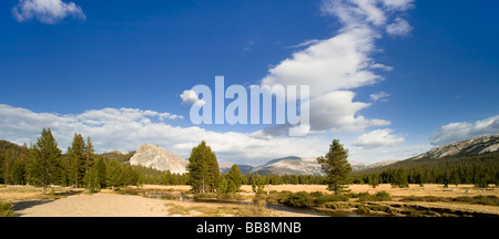 Vue panoramique vue paysage de prairies Tuolumne, Lembert Dome, Yosemite National Park, California, USA Banque D'Images