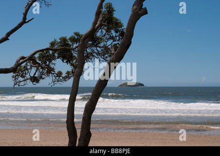 Emerald Beach Région de Coffs Harbour NSW Australie Banque D'Images