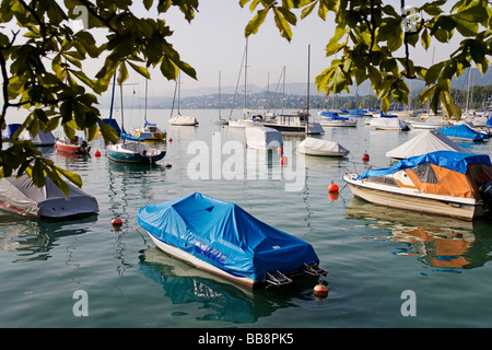 Bateaux à voile et bateaux à moteur sur le lac de Zurich, Zurich, Switzerland, Europe Banque D'Images