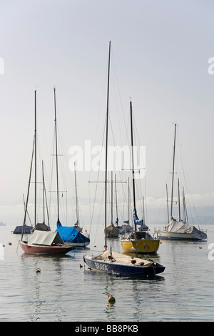 Bateaux à voile sur le lac de Zurich, Zurich, Switzerland, Europe Banque D'Images