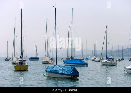 Bateaux à voile sur le lac de Zurich, Suisse, Europe Banque D'Images